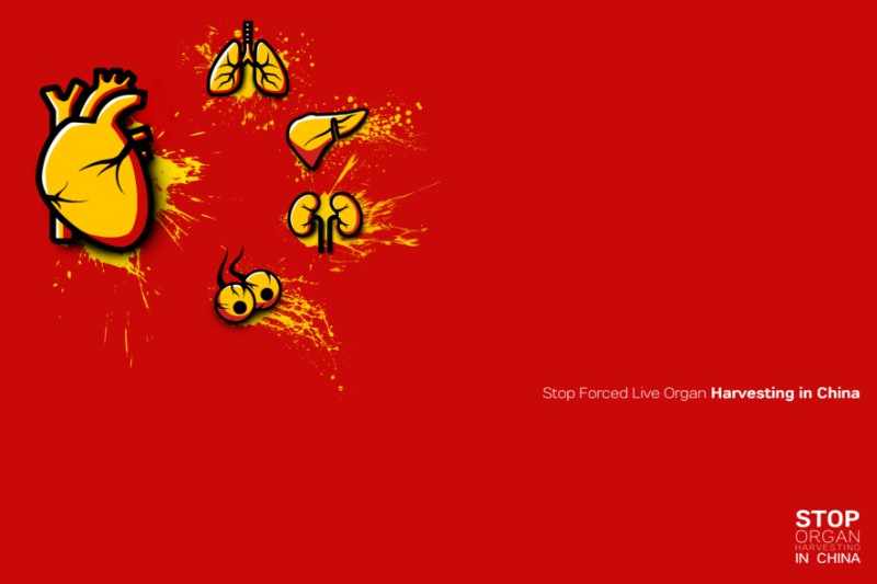 china made by organ