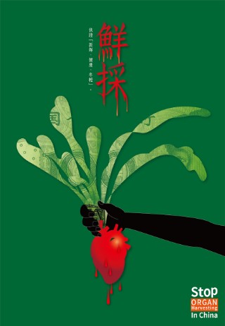 鮮採/SeriesX2