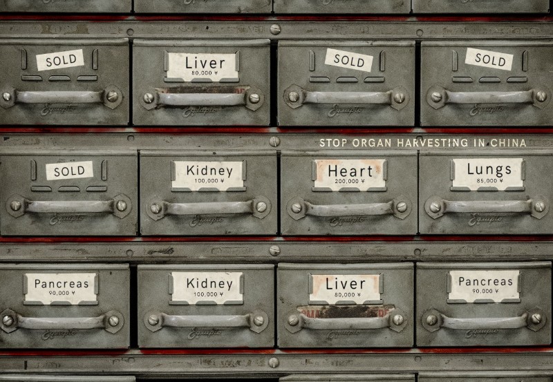 Human organ is not money !