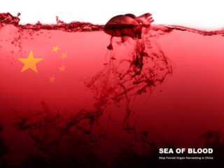 SEA OF BLOOD