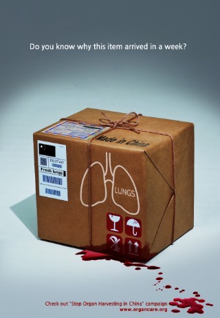 Organ Delivery Box