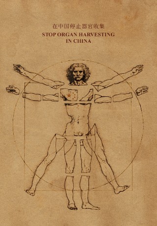 Vitruvian-Man