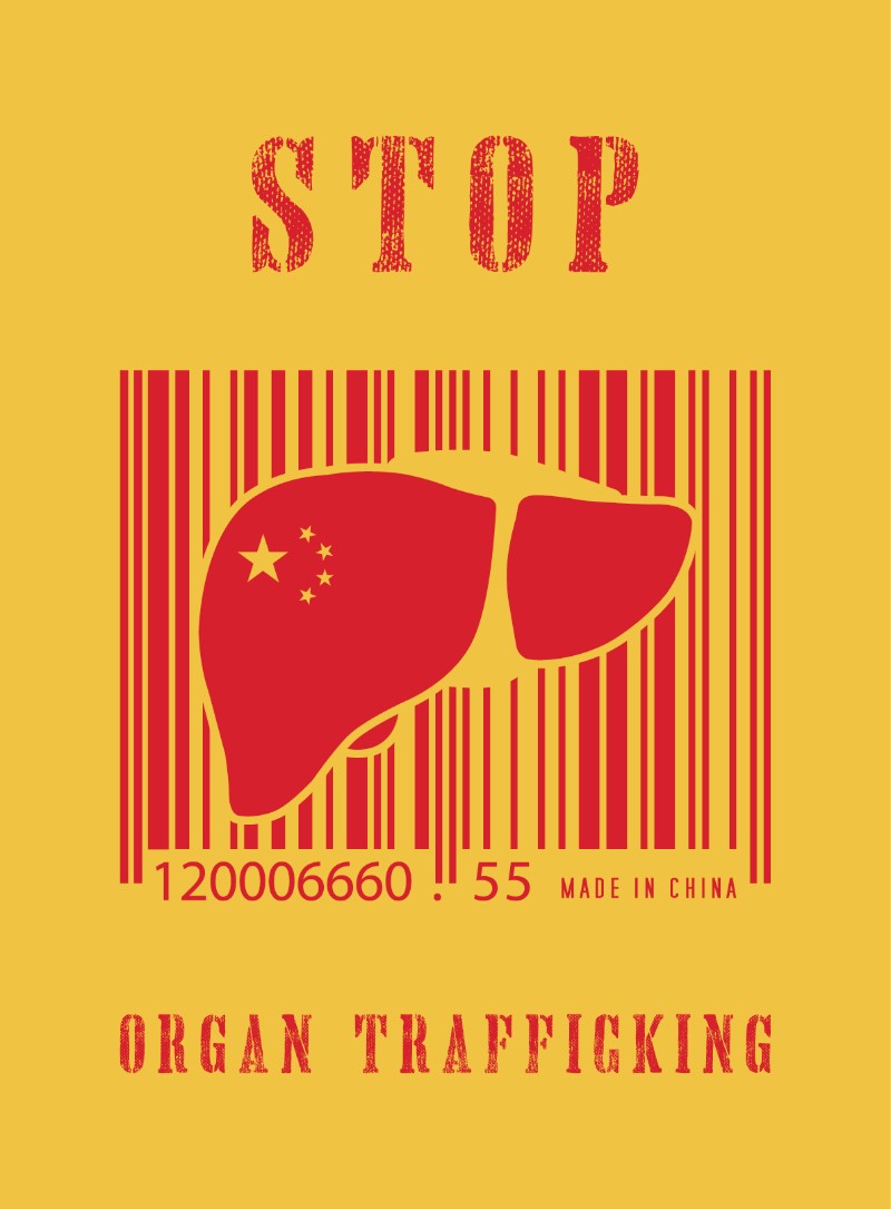 Organs as commodities