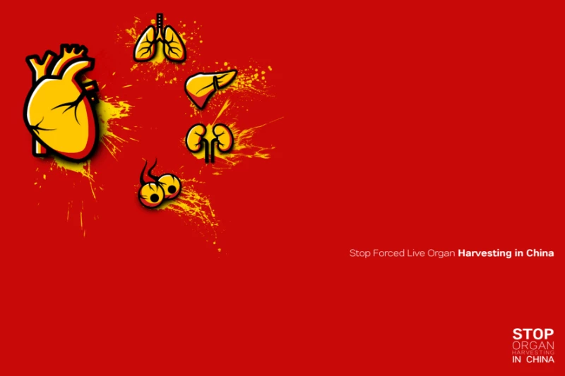 china made by organ
