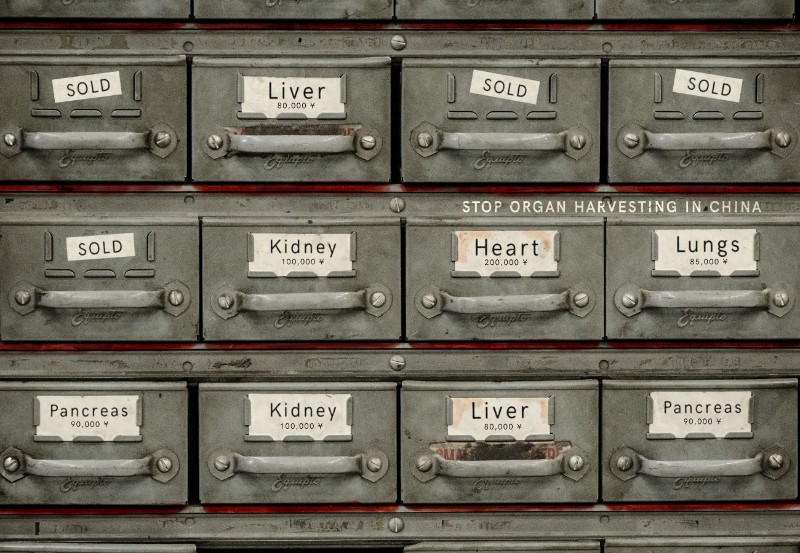 Human organ is not money !