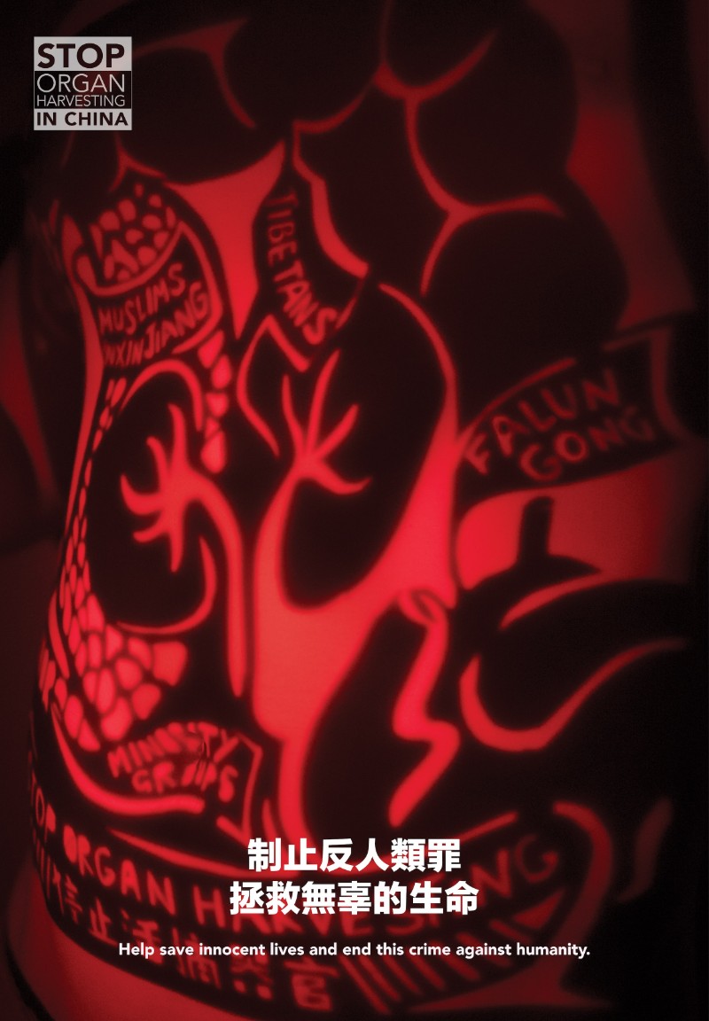 The New Harvest/SeriesX4