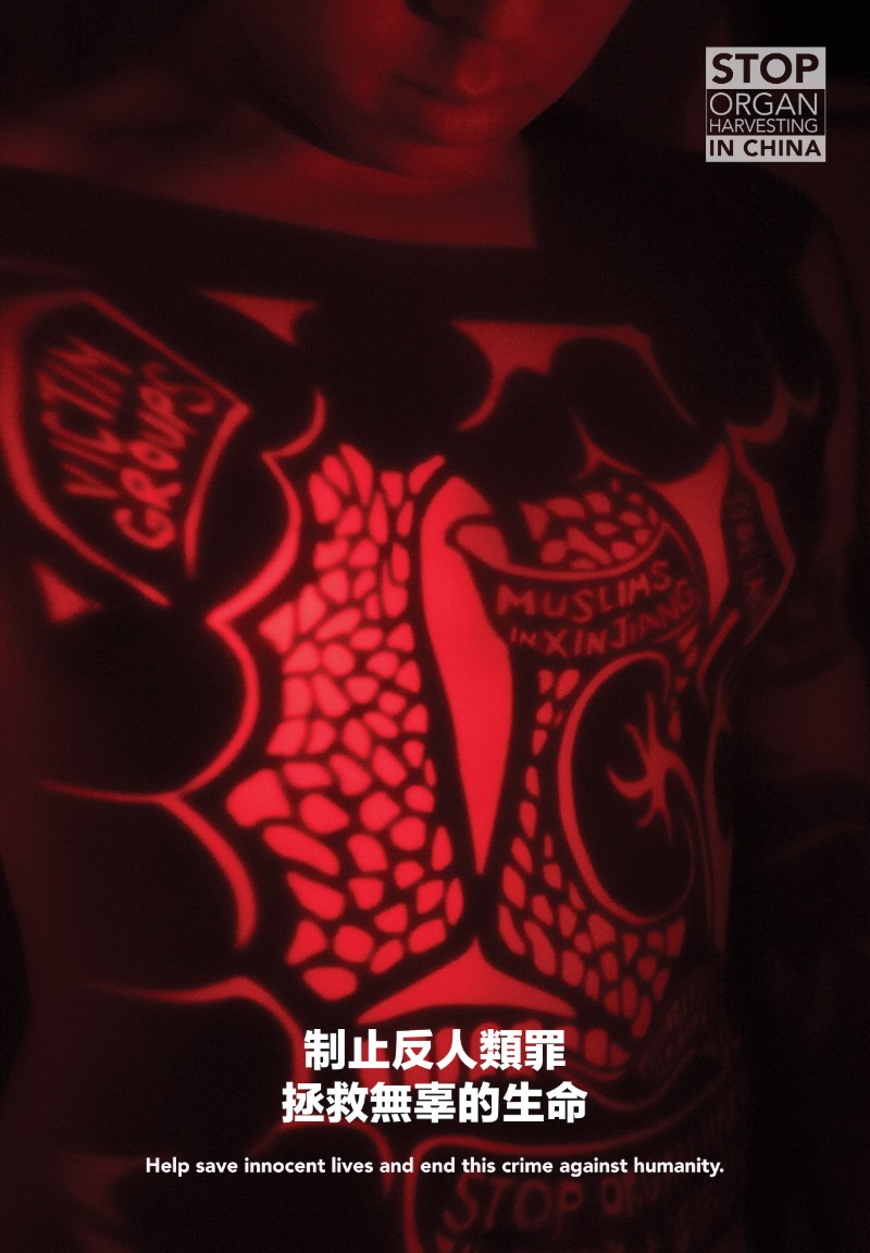 The New Harvest/SeriesX4