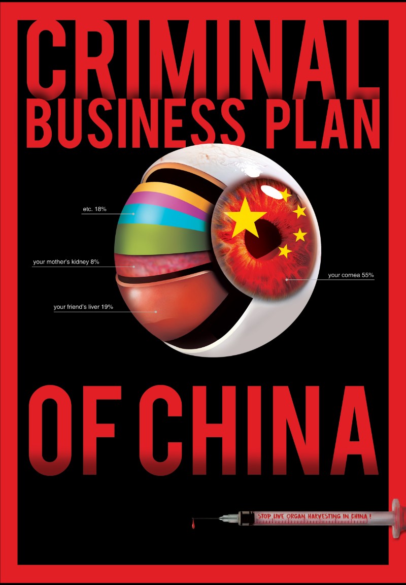 CRIMINAL BUSINESS PLAN OF CHINA