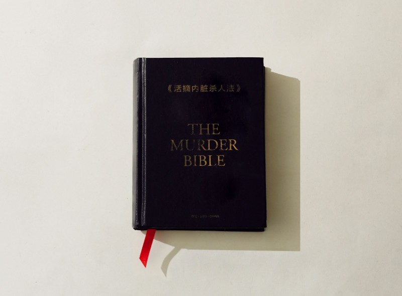 《活摘內臟殺人法》 The Murder Bible/SeriesX2