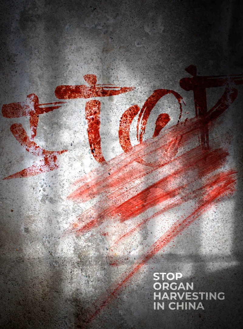 Stop organ harvesting in China/SeriesX6