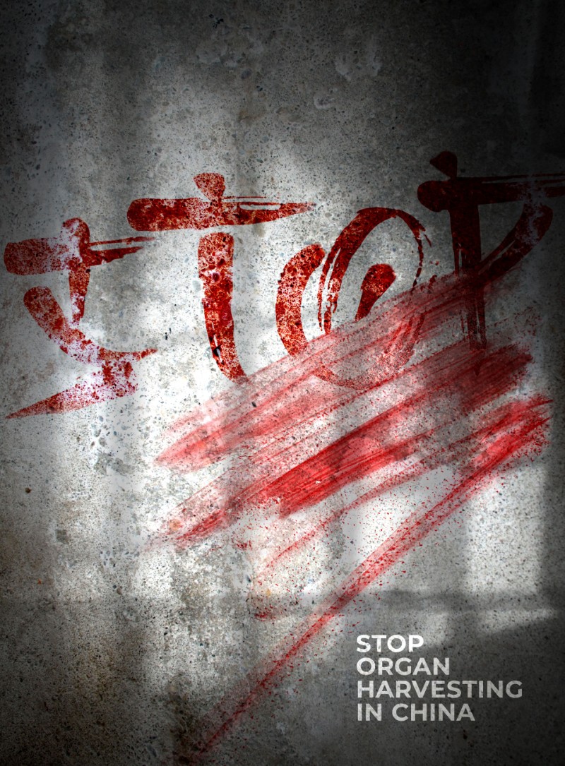 Stop organ harvesting in China/SeriesX6