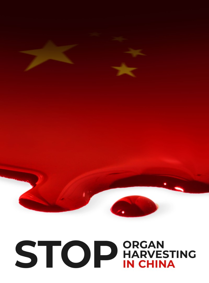 Stop organ harvesting in China/SeriesX6