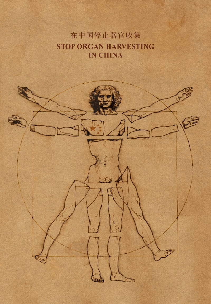 Vitruvian-Man