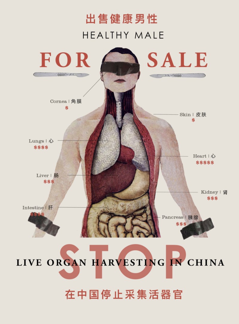 Healthy Male For Sale